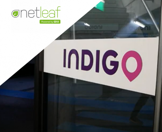 Netleaf - Indigo