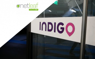 Netleaf - Indigo